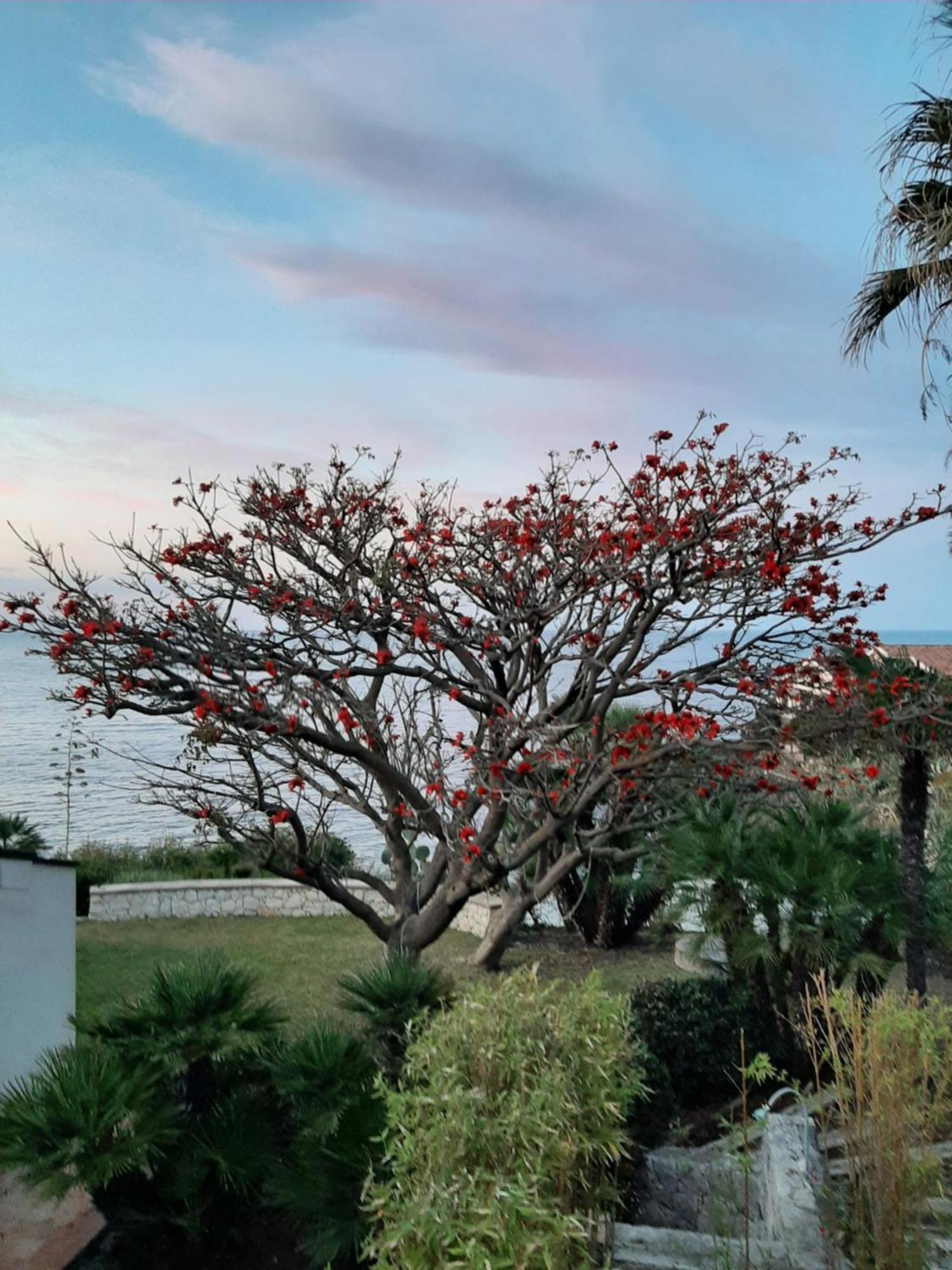 Appartamento In Villa Al Mare - Baia Di Arcile Brucoli Bagian luar foto